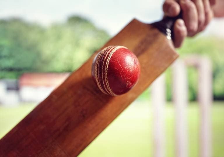Cricket Pitch